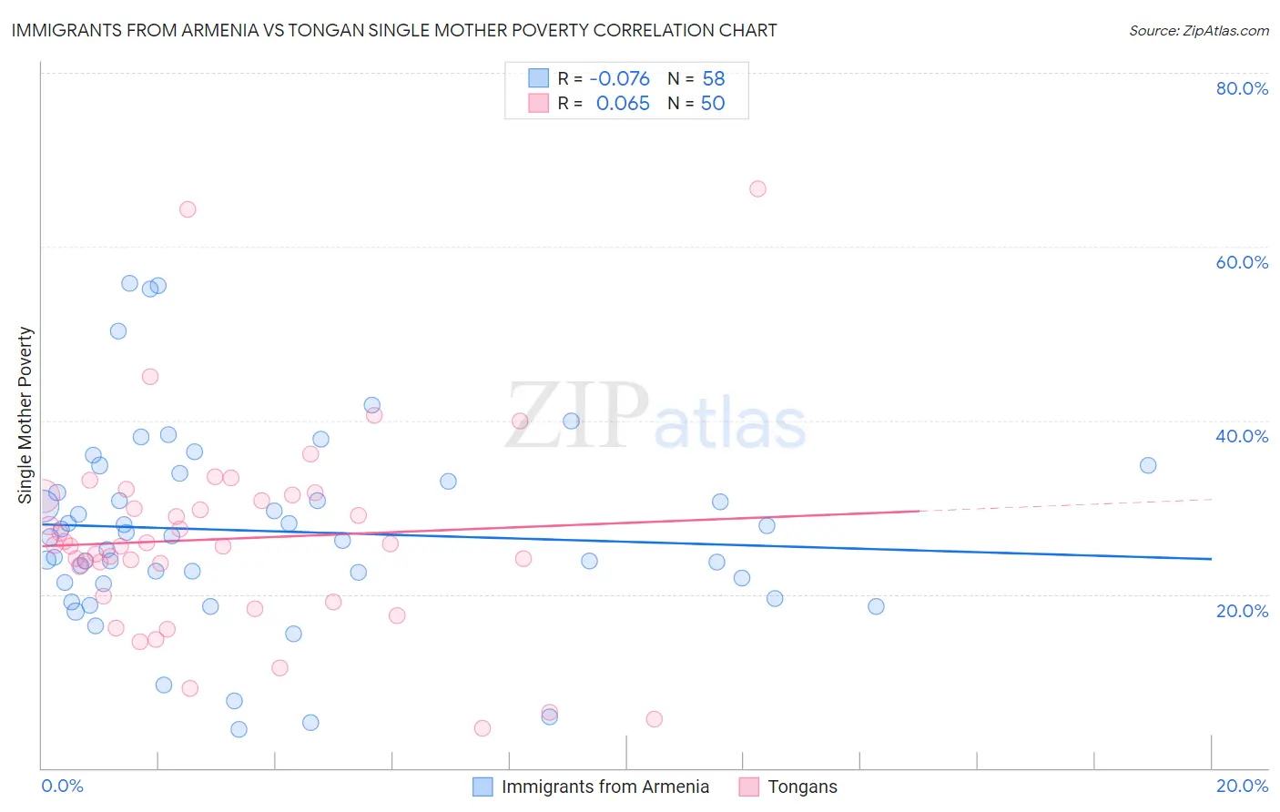 Immigrants from Armenia vs Tongan Single Mother Poverty