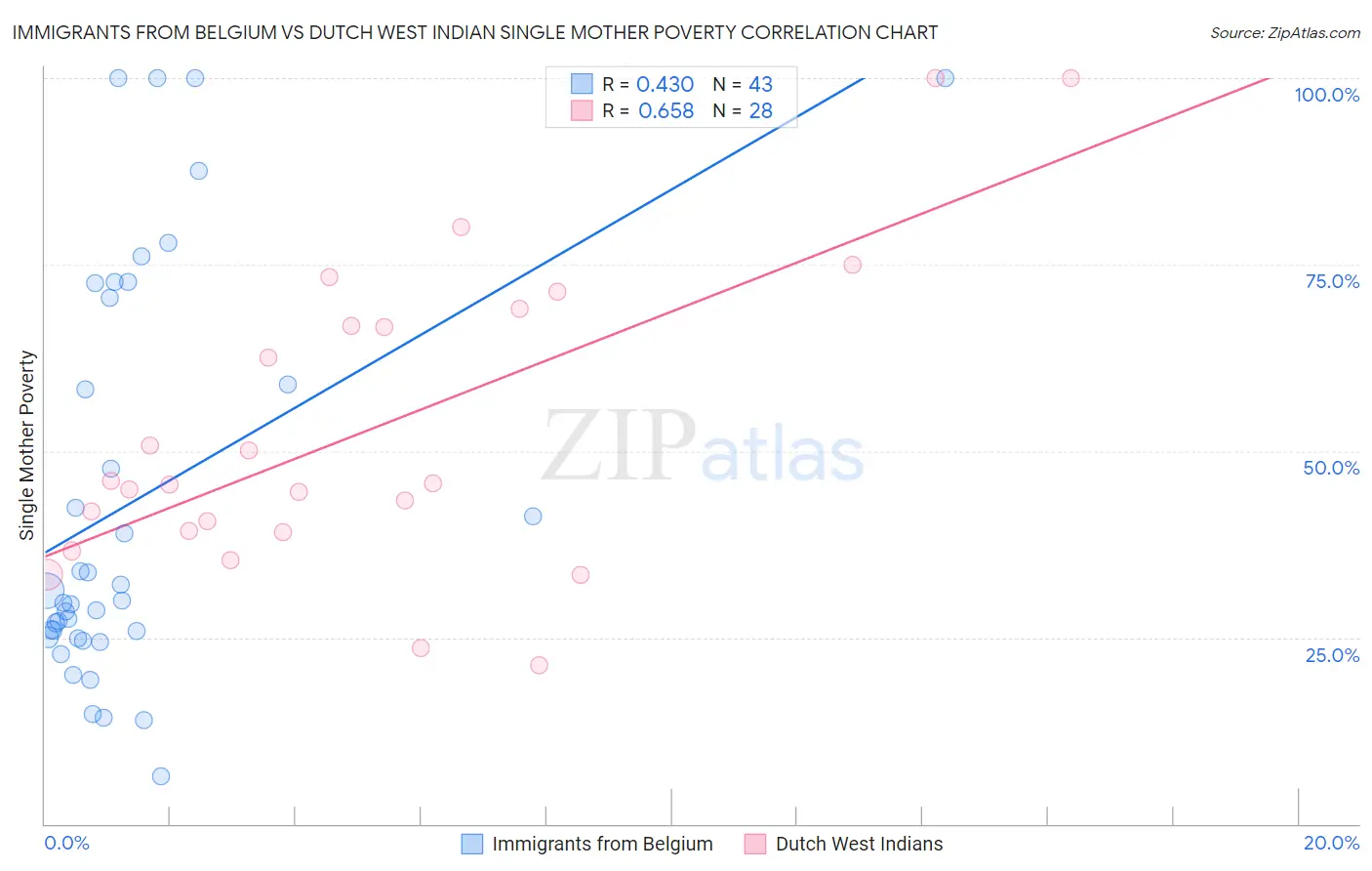 Immigrants from Belgium vs Dutch West Indian Single Mother Poverty