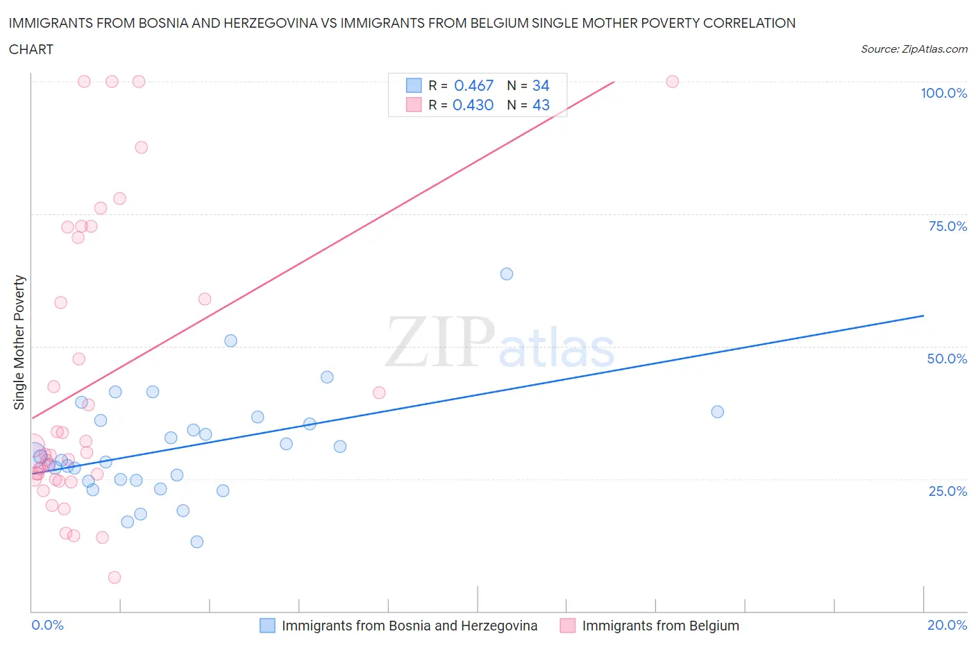 Immigrants from Bosnia and Herzegovina vs Immigrants from Belgium Single Mother Poverty