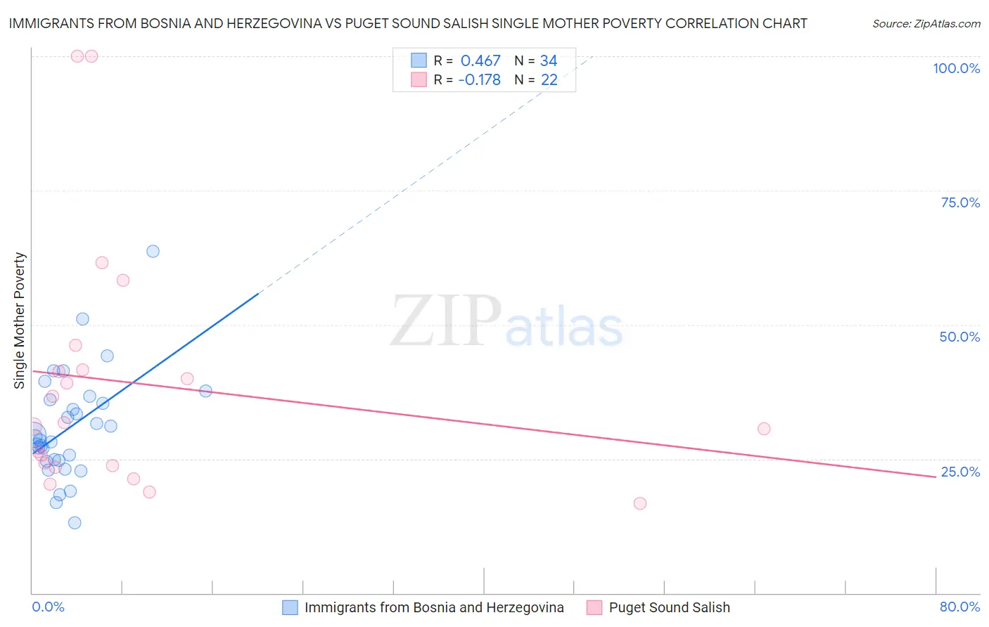 Immigrants from Bosnia and Herzegovina vs Puget Sound Salish Single Mother Poverty