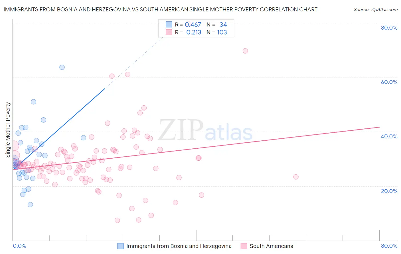 Immigrants from Bosnia and Herzegovina vs South American Single Mother Poverty