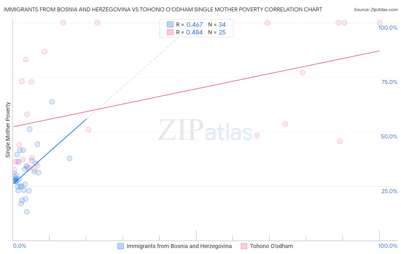 Immigrants from Bosnia and Herzegovina vs Tohono O'odham Single Mother Poverty