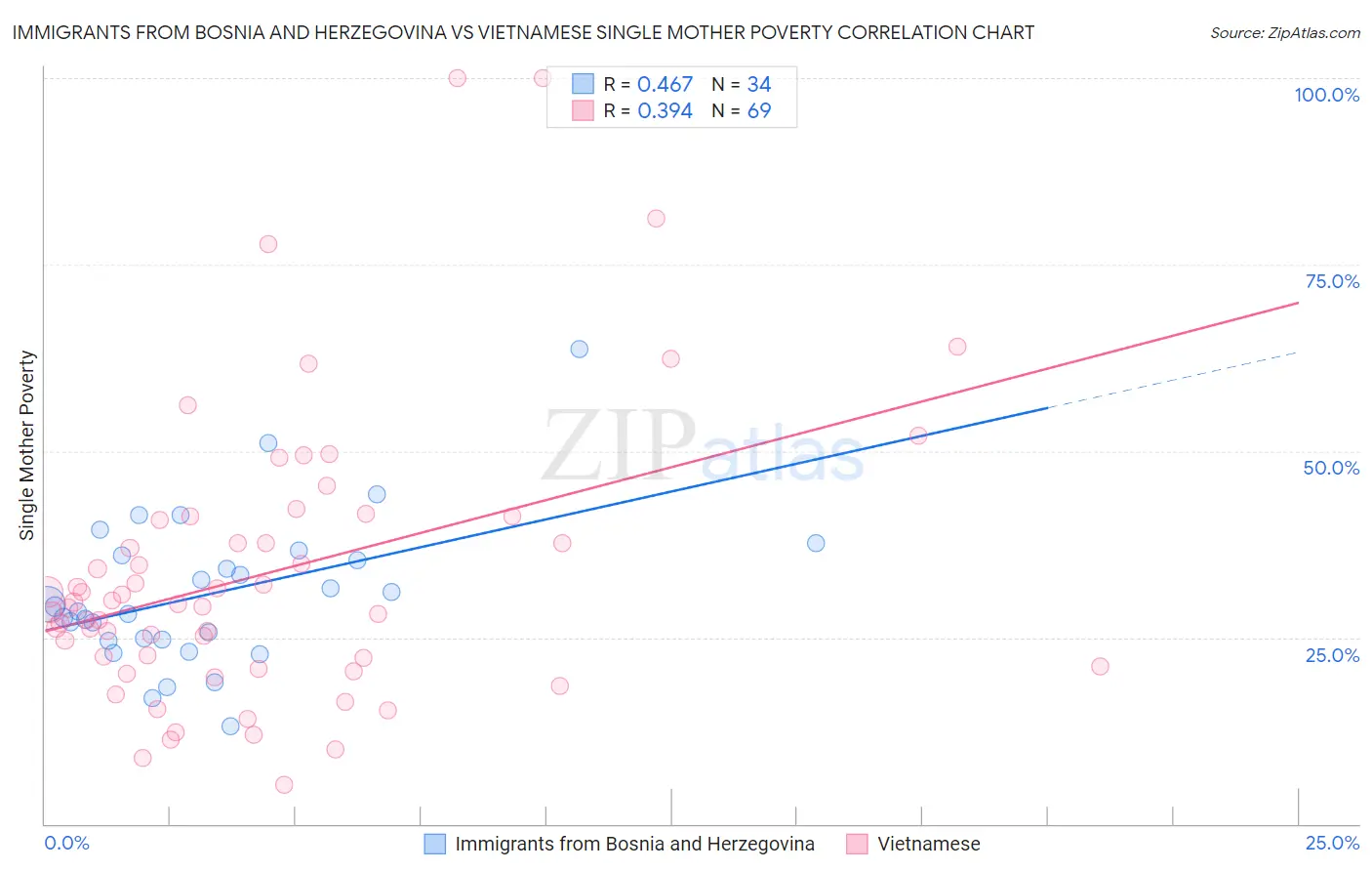 Immigrants from Bosnia and Herzegovina vs Vietnamese Single Mother Poverty