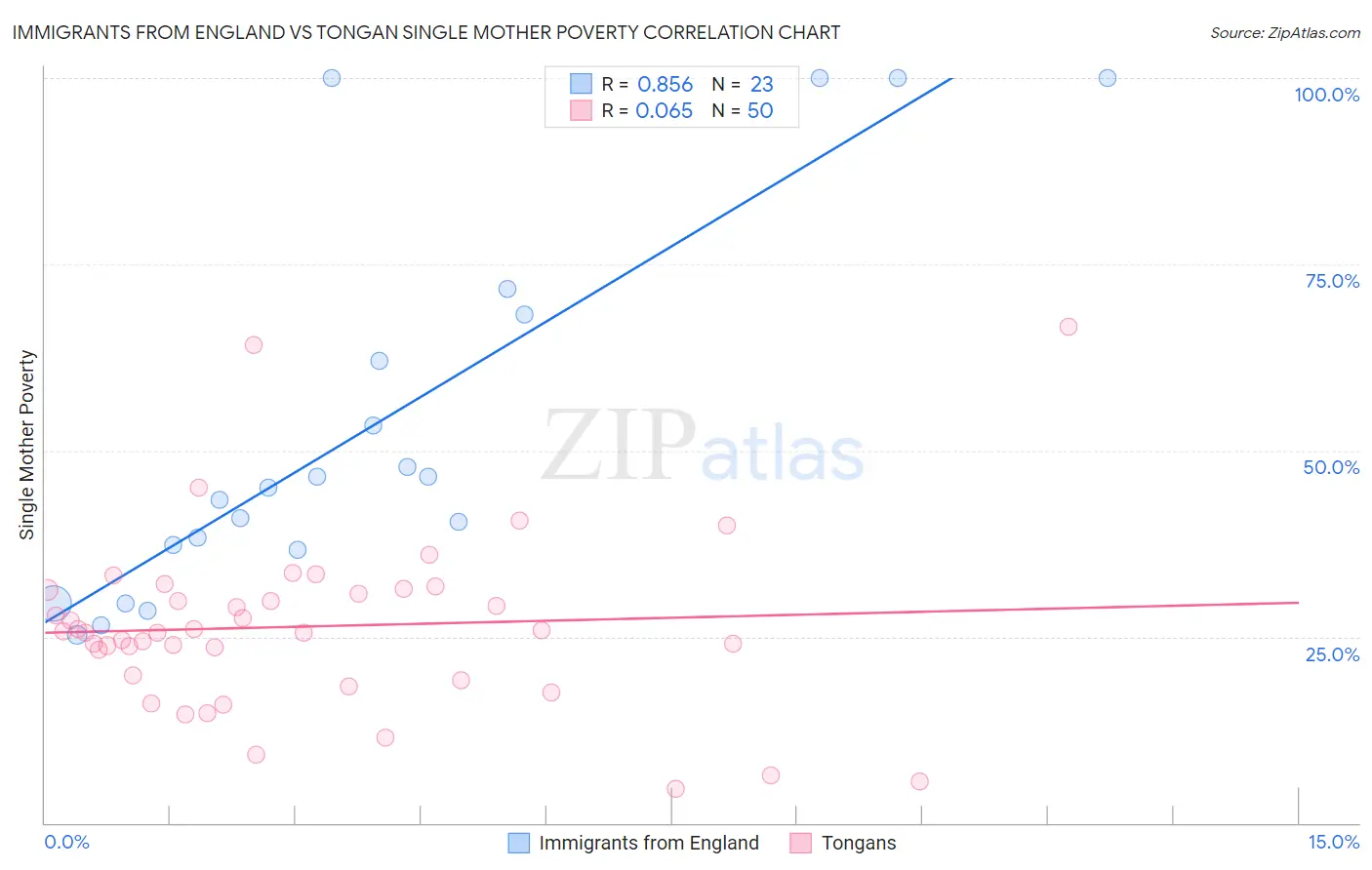 Immigrants from England vs Tongan Single Mother Poverty