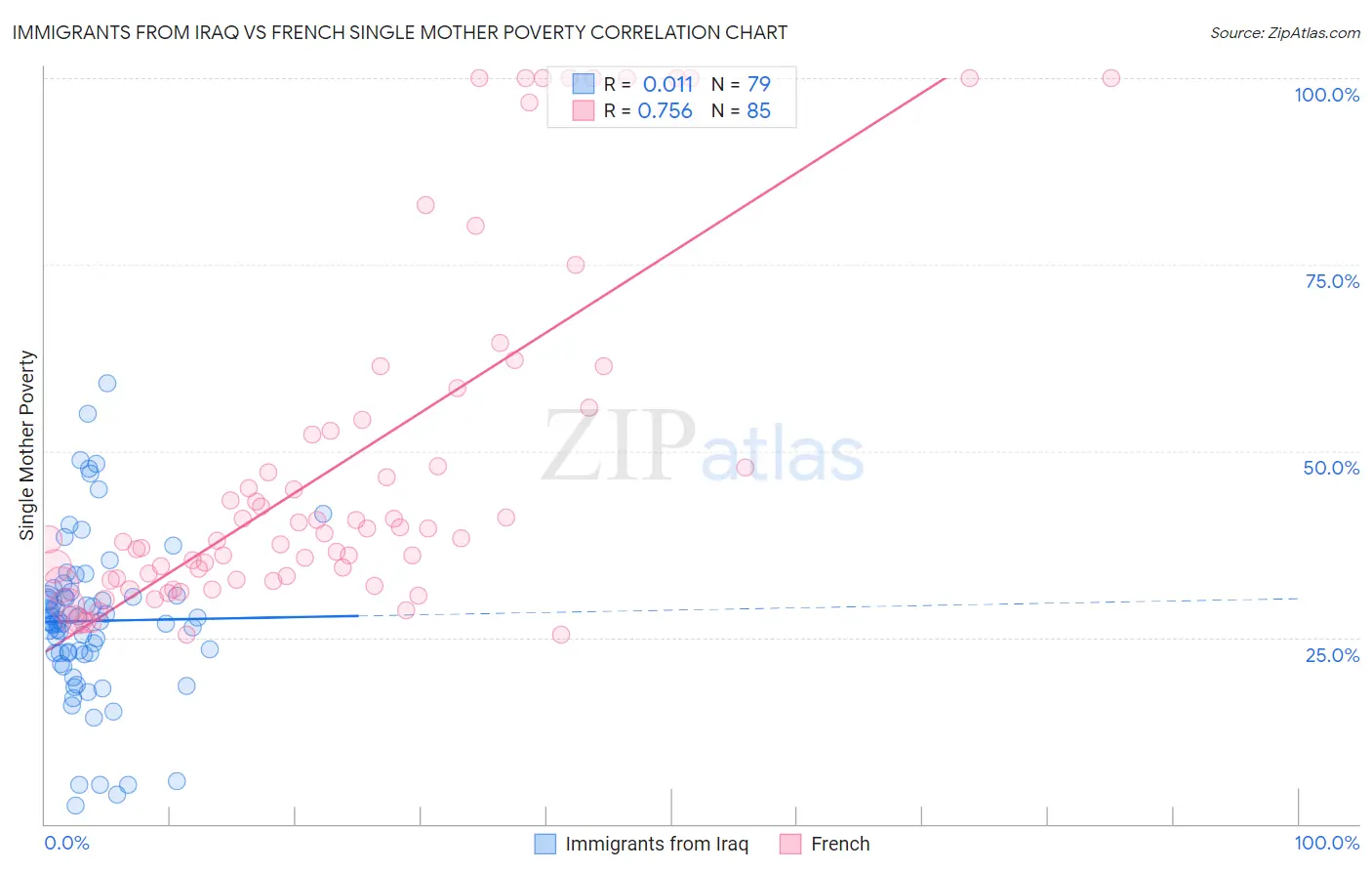 Immigrants from Iraq vs French Single Mother Poverty