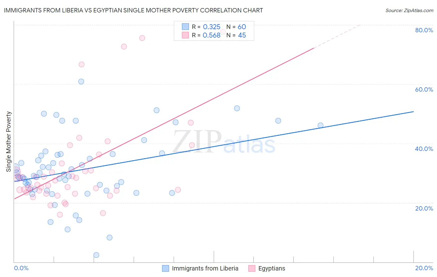 Immigrants from Liberia vs Egyptian Single Mother Poverty