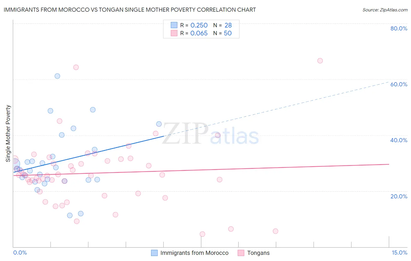 Immigrants from Morocco vs Tongan Single Mother Poverty