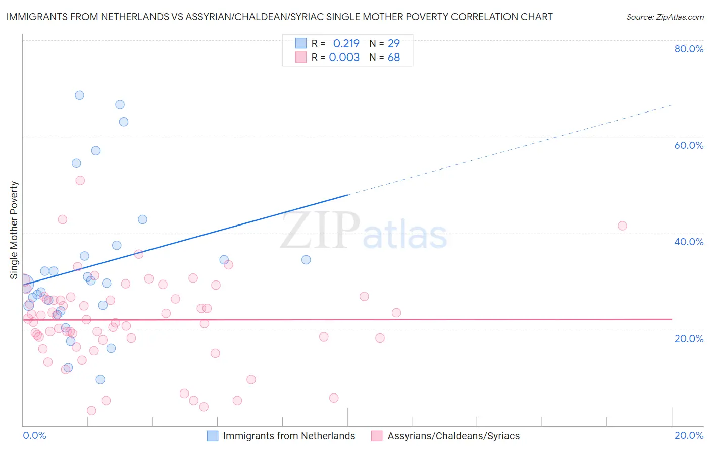 Immigrants from Netherlands vs Assyrian/Chaldean/Syriac Single Mother Poverty
