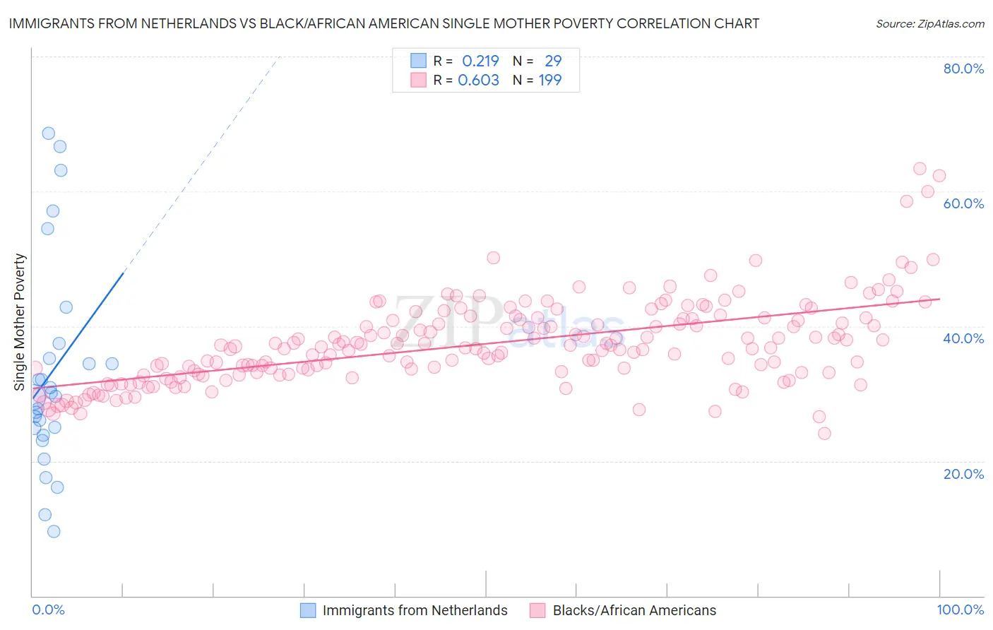 Immigrants from Netherlands vs Black/African American Single Mother Poverty
