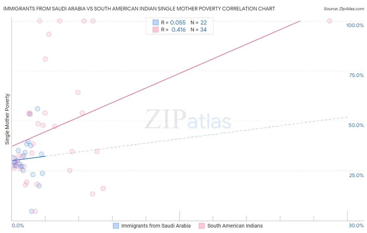 Immigrants from Saudi Arabia vs South American Indian Single Mother Poverty