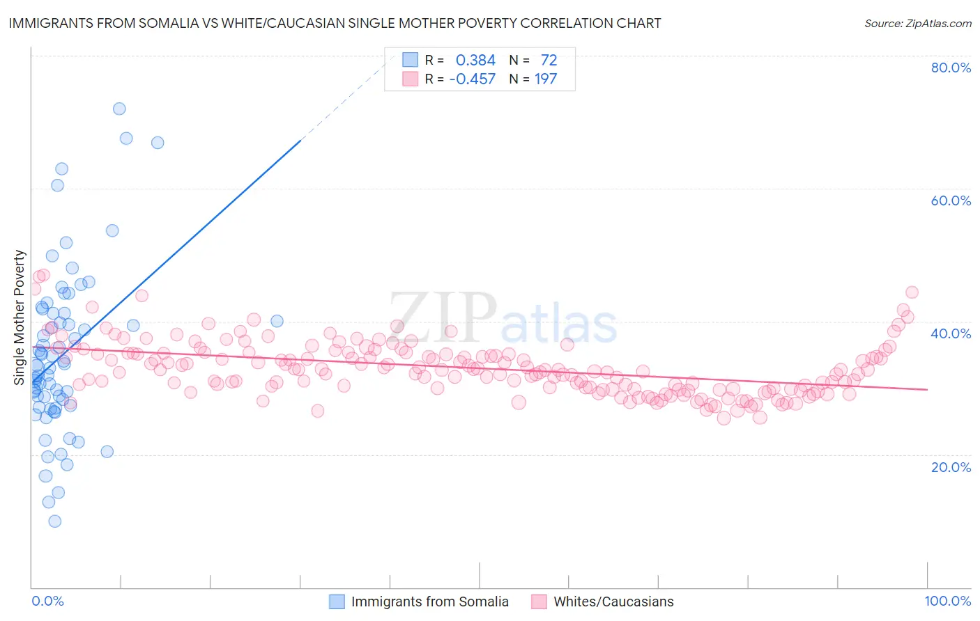 Immigrants from Somalia vs White/Caucasian Single Mother Poverty