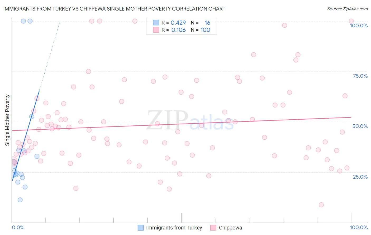 Immigrants from Turkey vs Chippewa Single Mother Poverty