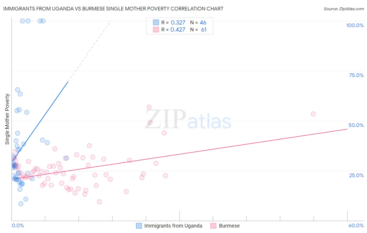 Immigrants from Uganda vs Burmese Single Mother Poverty