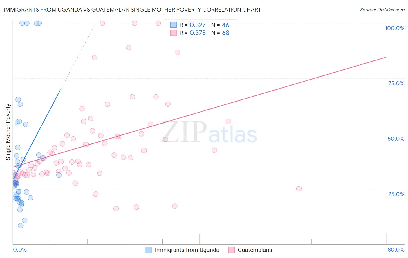 Immigrants from Uganda vs Guatemalan Single Mother Poverty