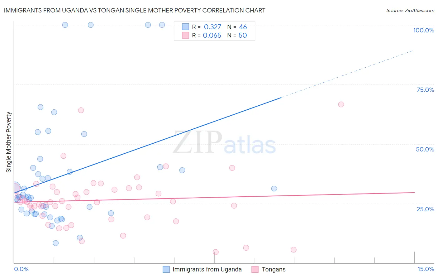 Immigrants from Uganda vs Tongan Single Mother Poverty