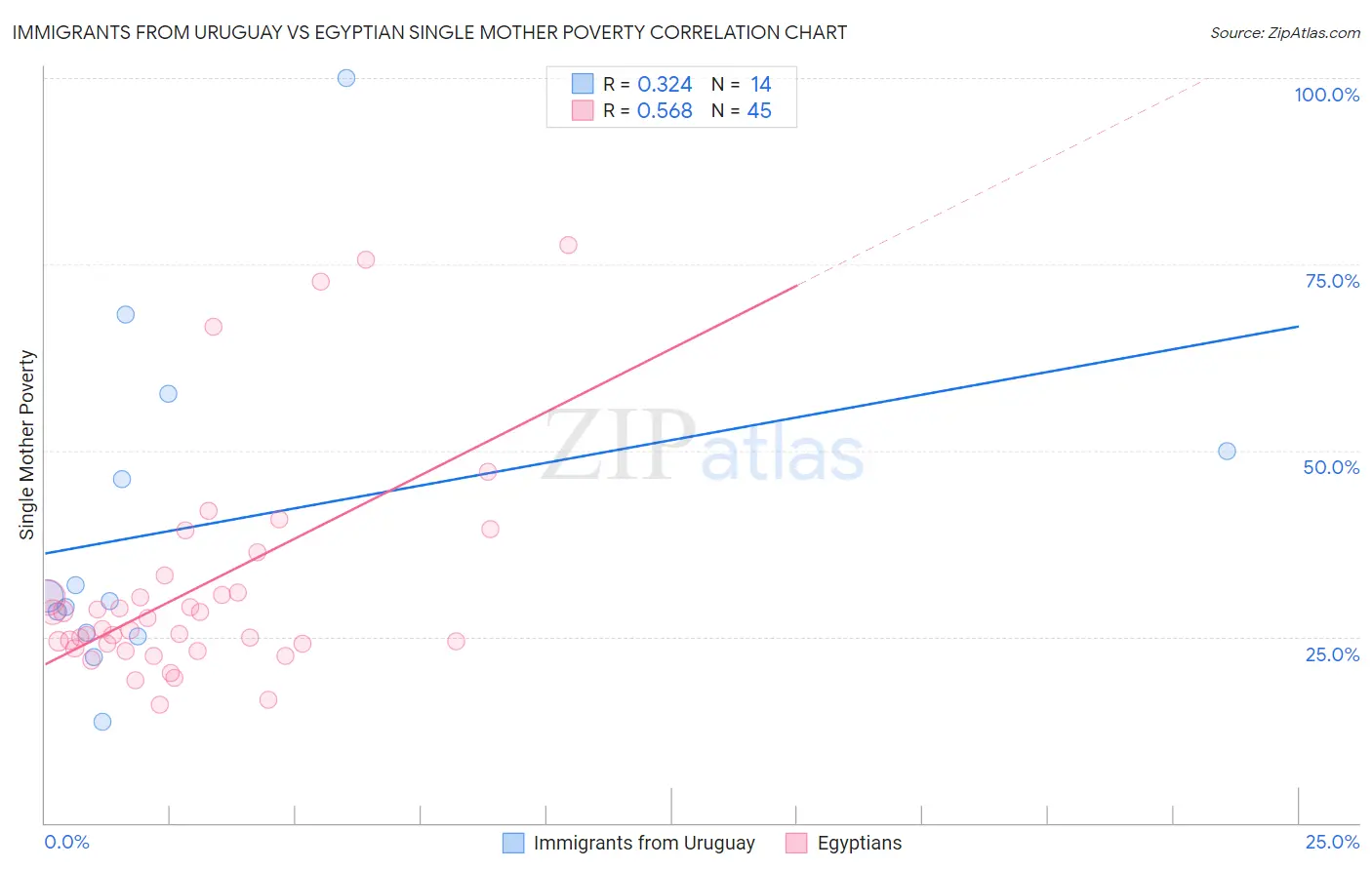 Immigrants from Uruguay vs Egyptian Single Mother Poverty
