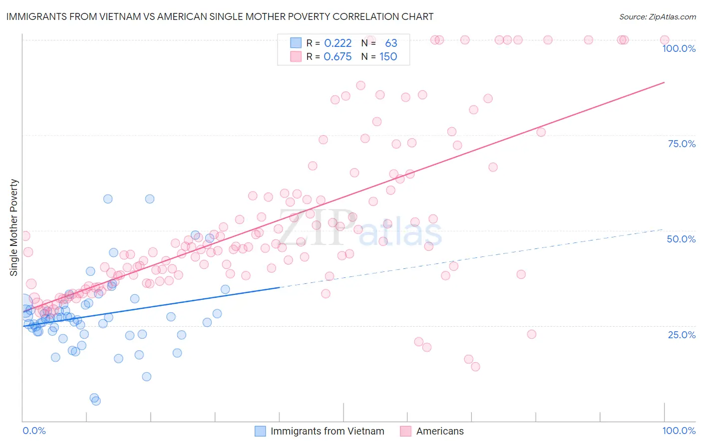 Immigrants from Vietnam vs American Single Mother Poverty