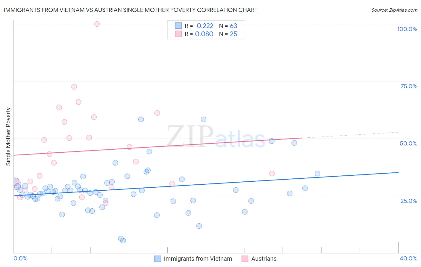 Immigrants from Vietnam vs Austrian Single Mother Poverty