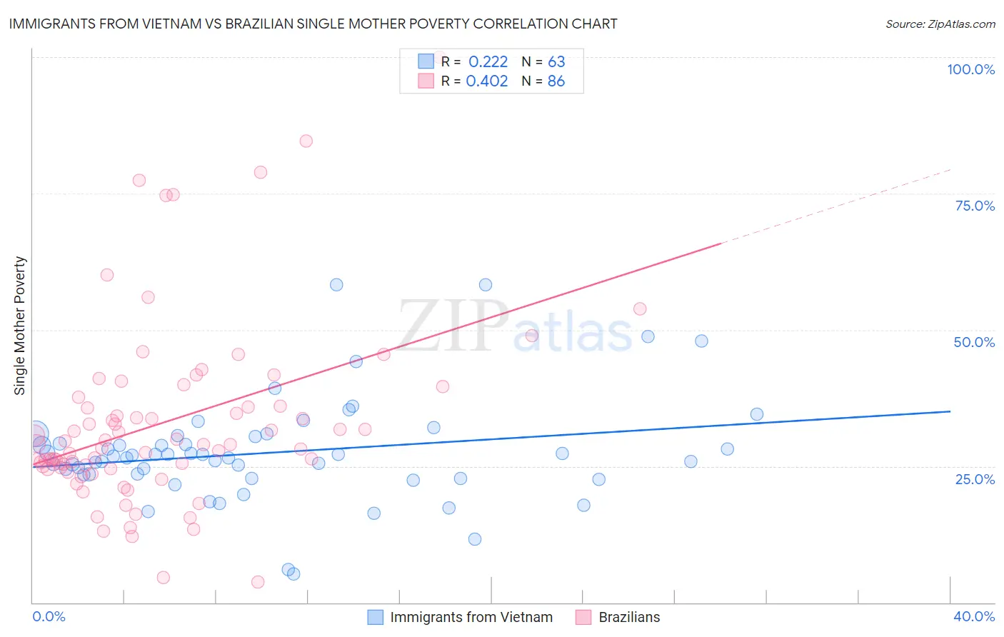 Immigrants from Vietnam vs Brazilian Single Mother Poverty