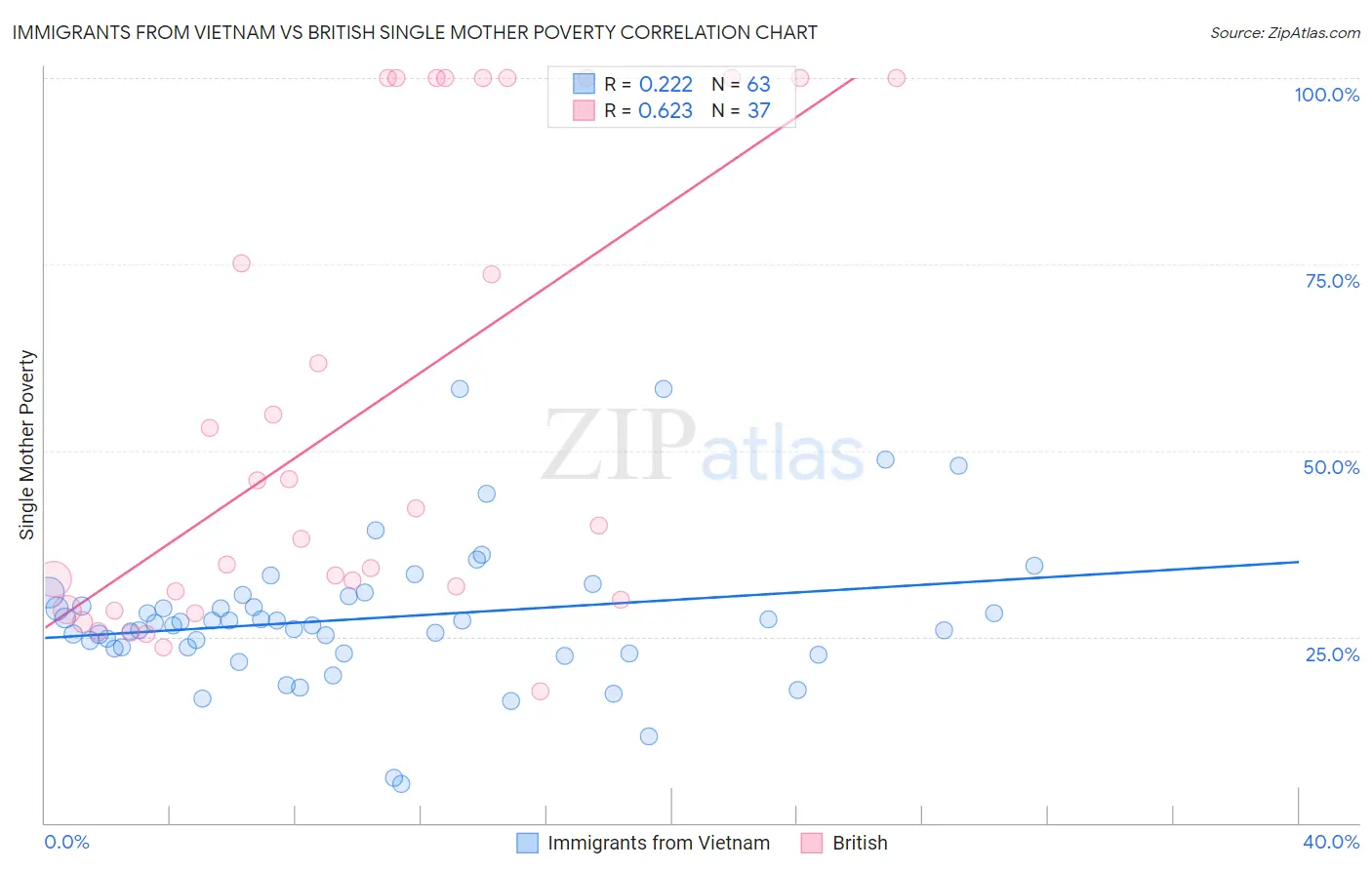 Immigrants from Vietnam vs British Single Mother Poverty