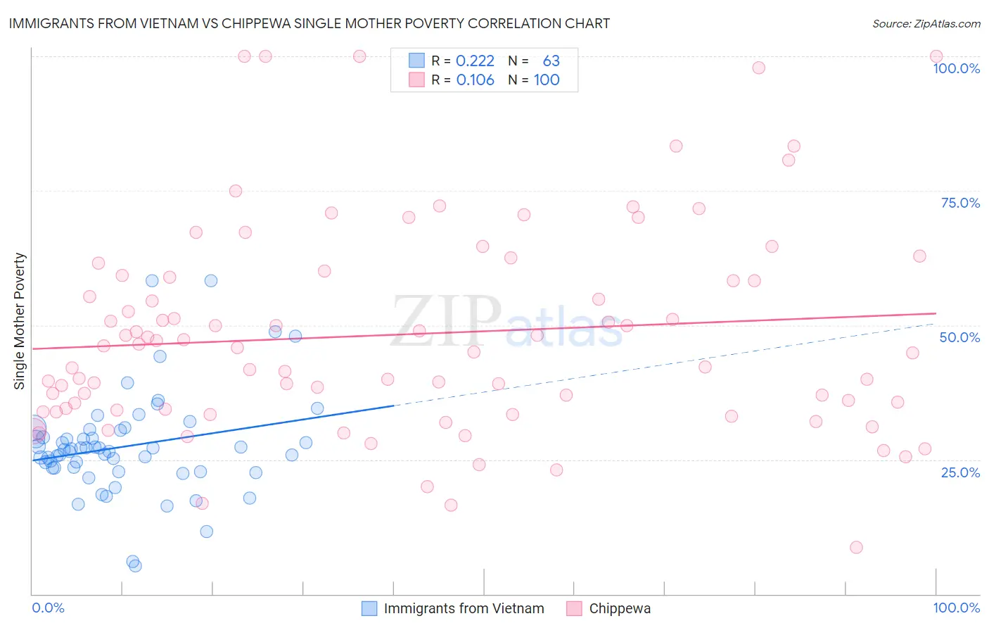 Immigrants from Vietnam vs Chippewa Single Mother Poverty