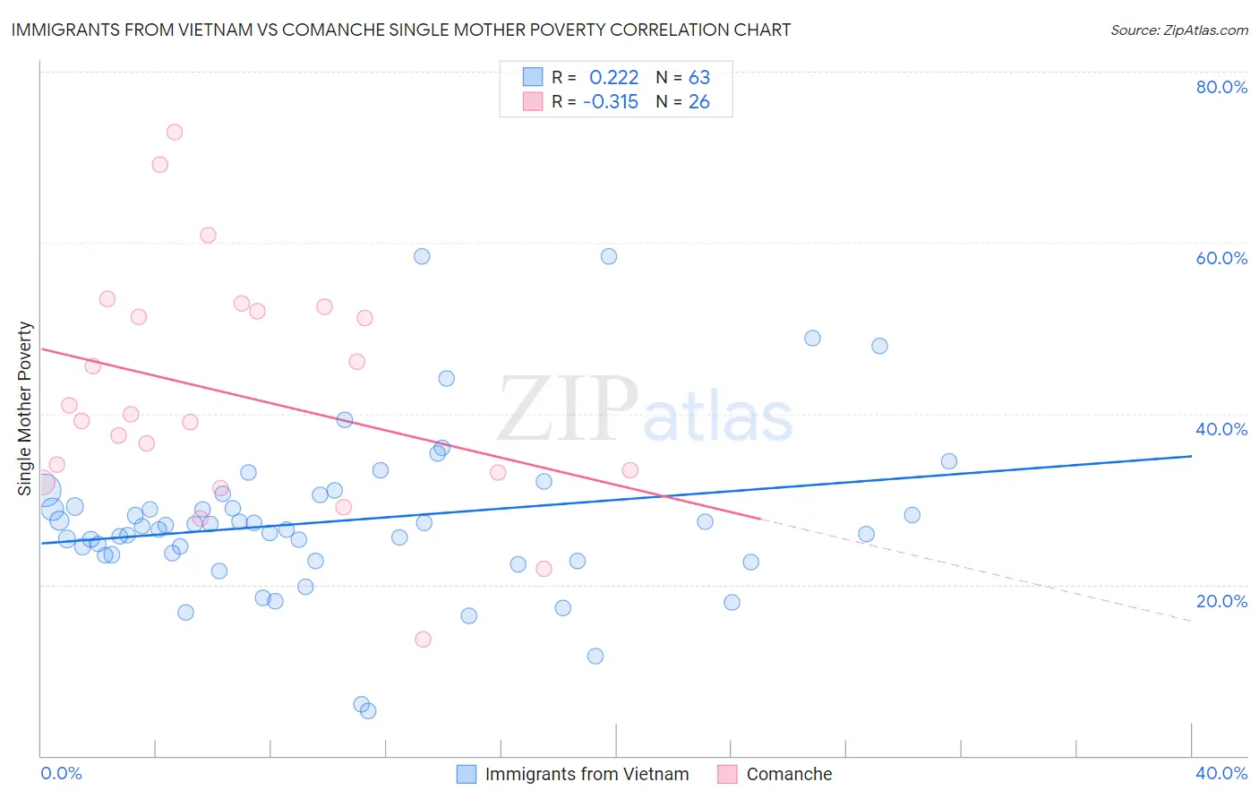 Immigrants from Vietnam vs Comanche Single Mother Poverty