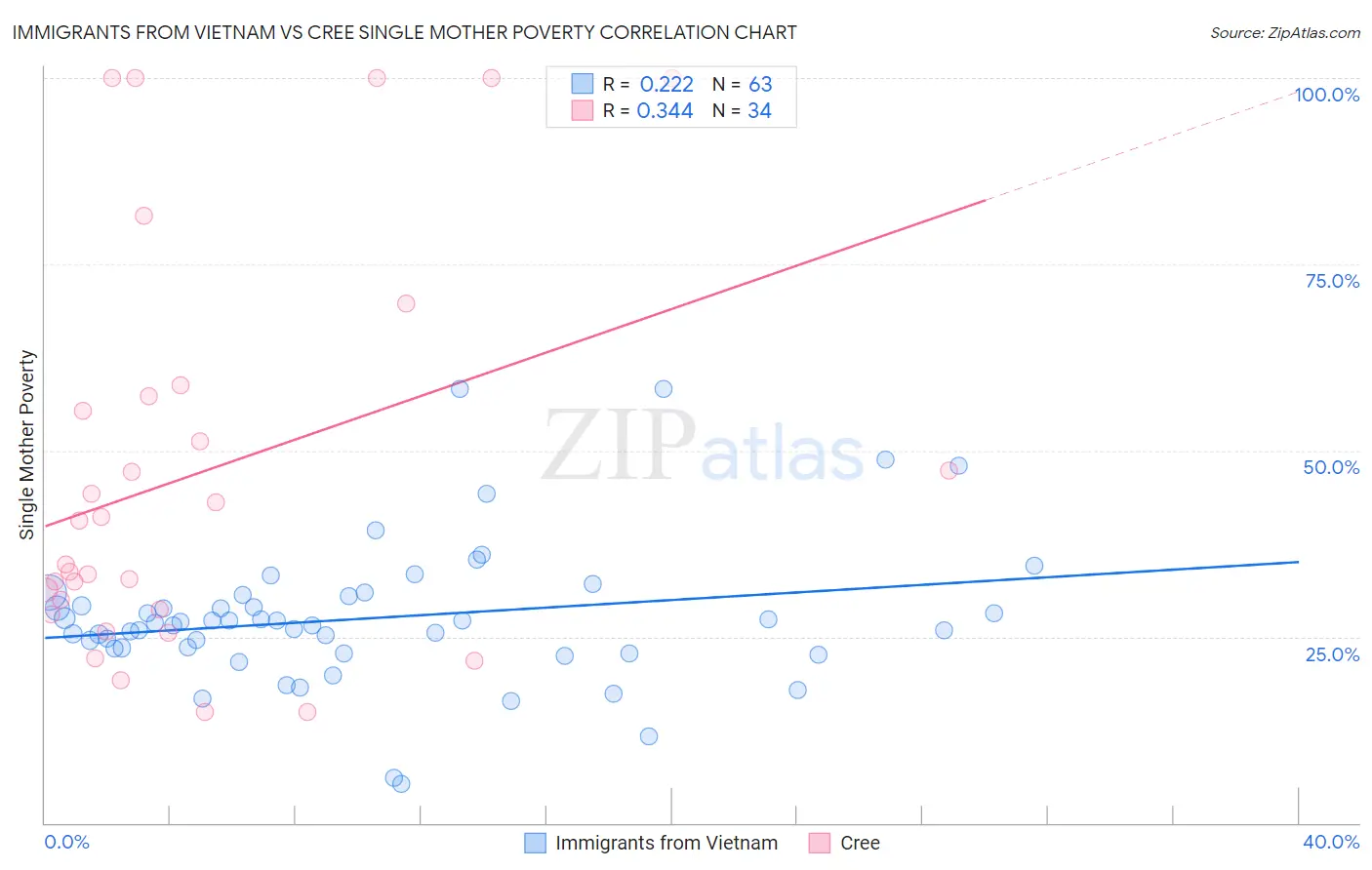 Immigrants from Vietnam vs Cree Single Mother Poverty