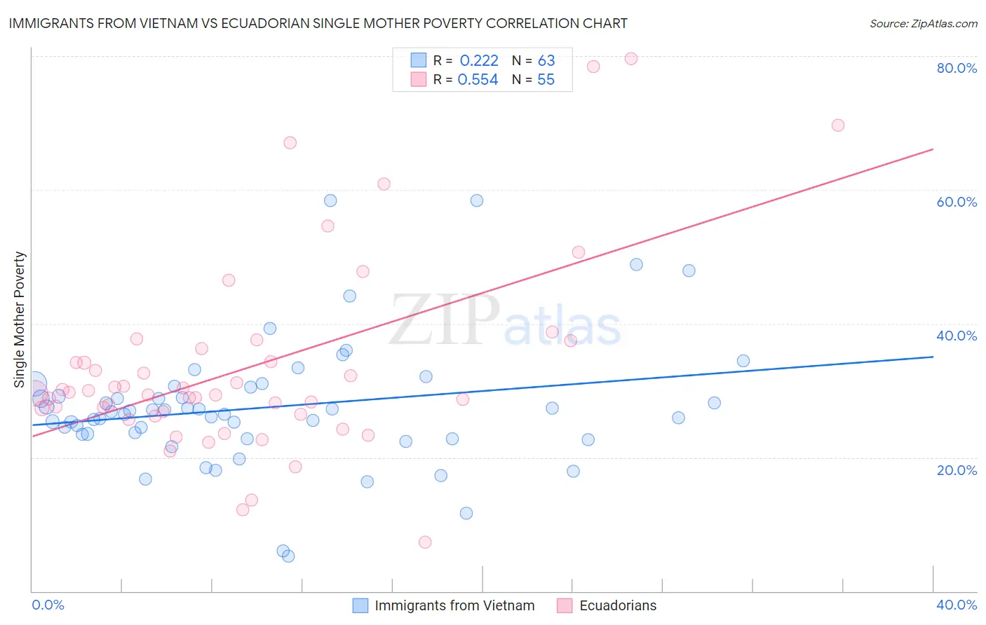 Immigrants from Vietnam vs Ecuadorian Single Mother Poverty