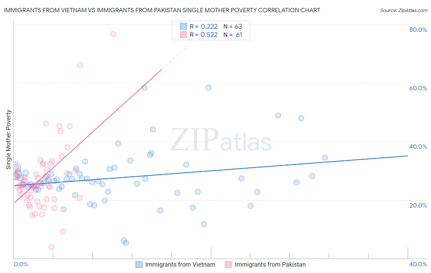 Immigrants from Vietnam vs Immigrants from Pakistan Single Mother Poverty