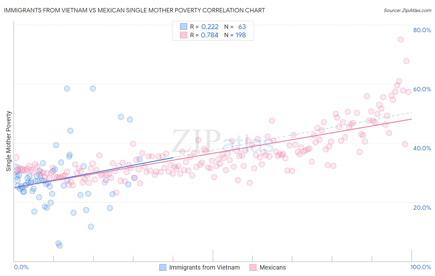 Immigrants from Vietnam vs Mexican Single Mother Poverty