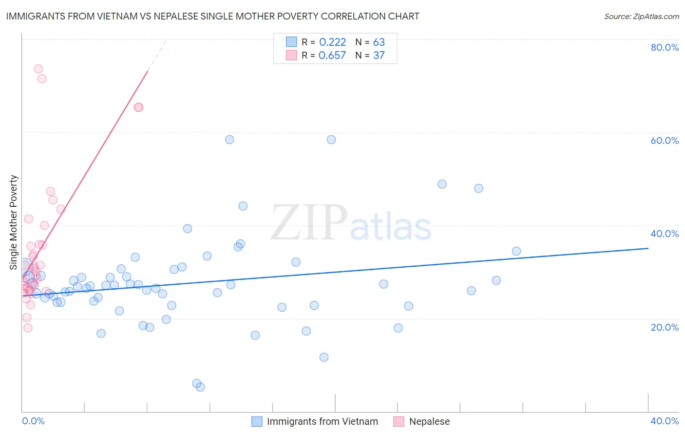 Immigrants from Vietnam vs Nepalese Single Mother Poverty