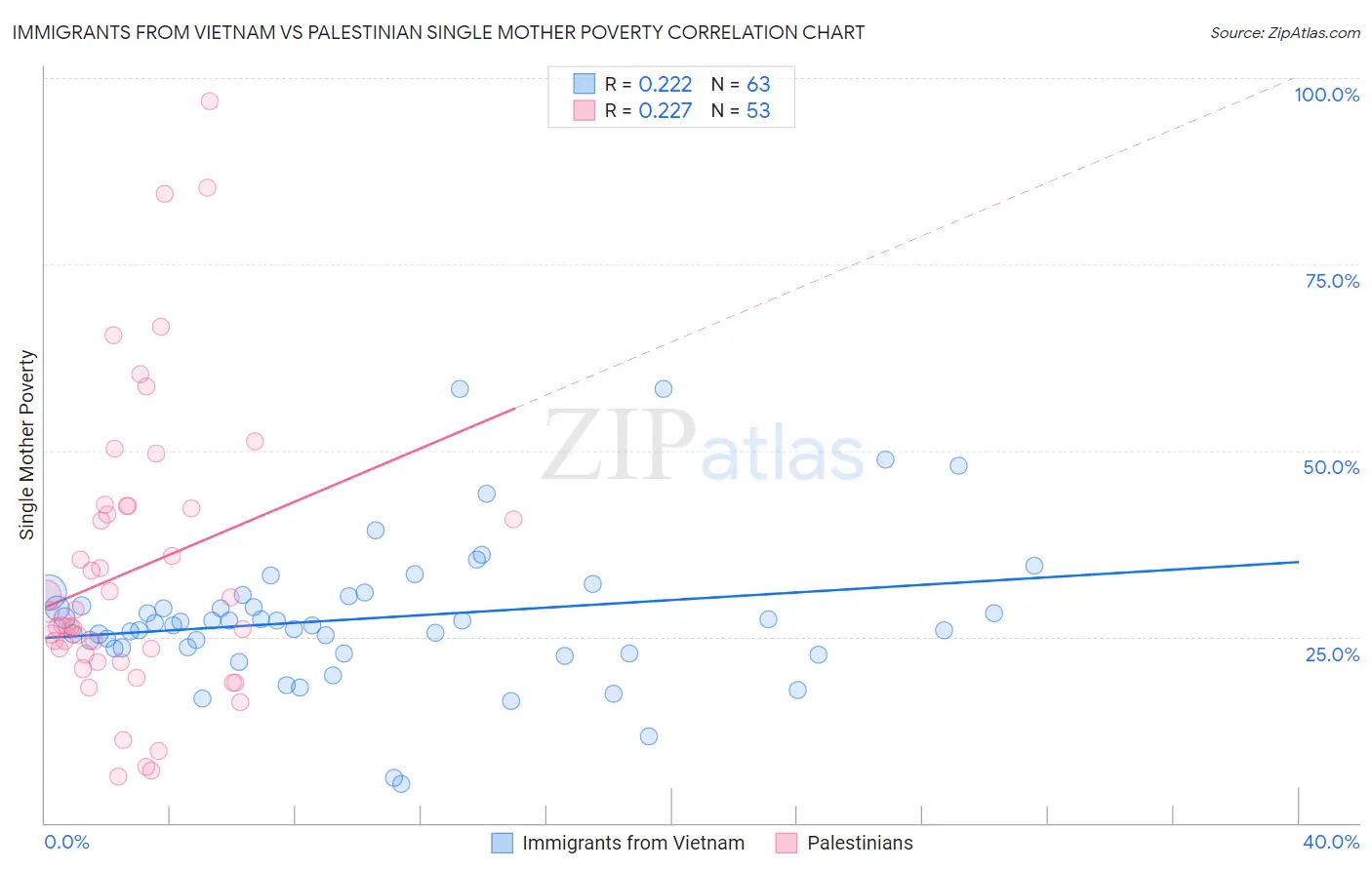 Immigrants from Vietnam vs Palestinian Single Mother Poverty