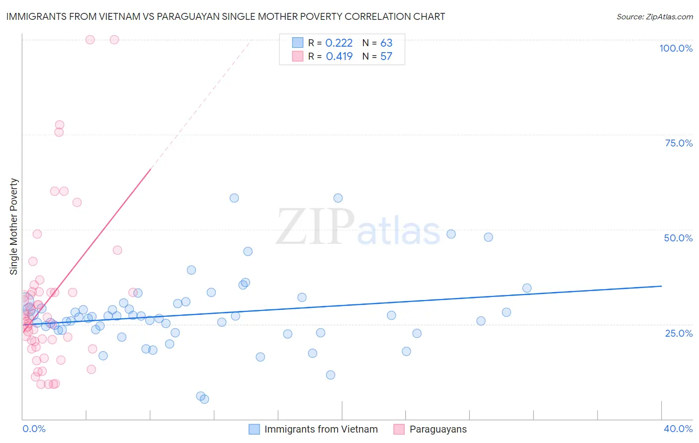 Immigrants from Vietnam vs Paraguayan Single Mother Poverty