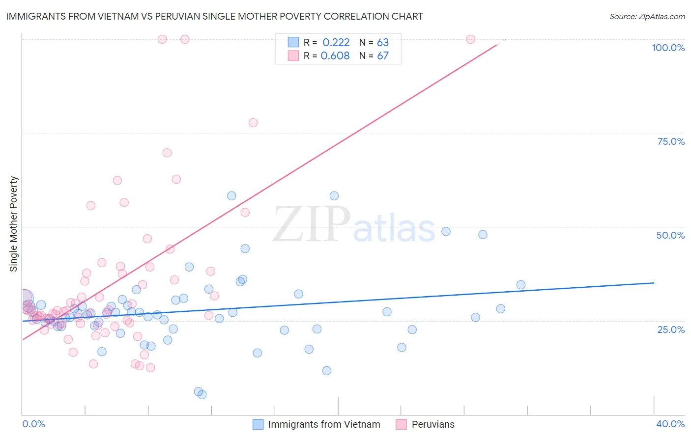 Immigrants from Vietnam vs Peruvian Single Mother Poverty