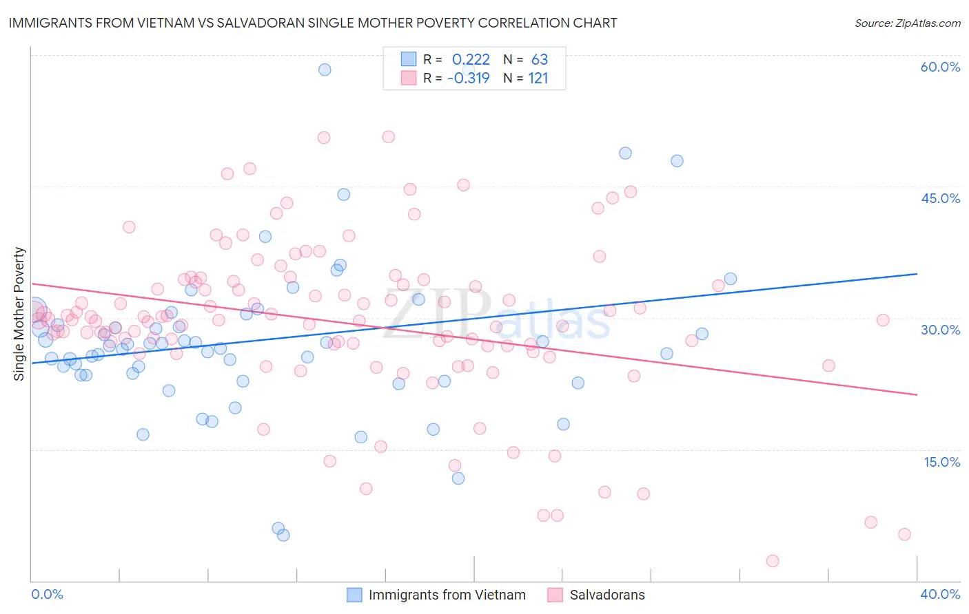 Immigrants from Vietnam vs Salvadoran Single Mother Poverty