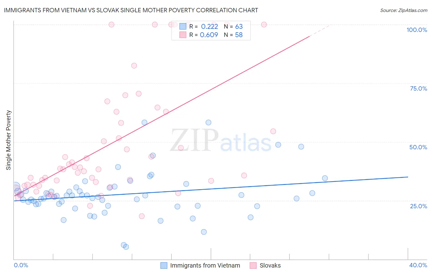 Immigrants from Vietnam vs Slovak Single Mother Poverty