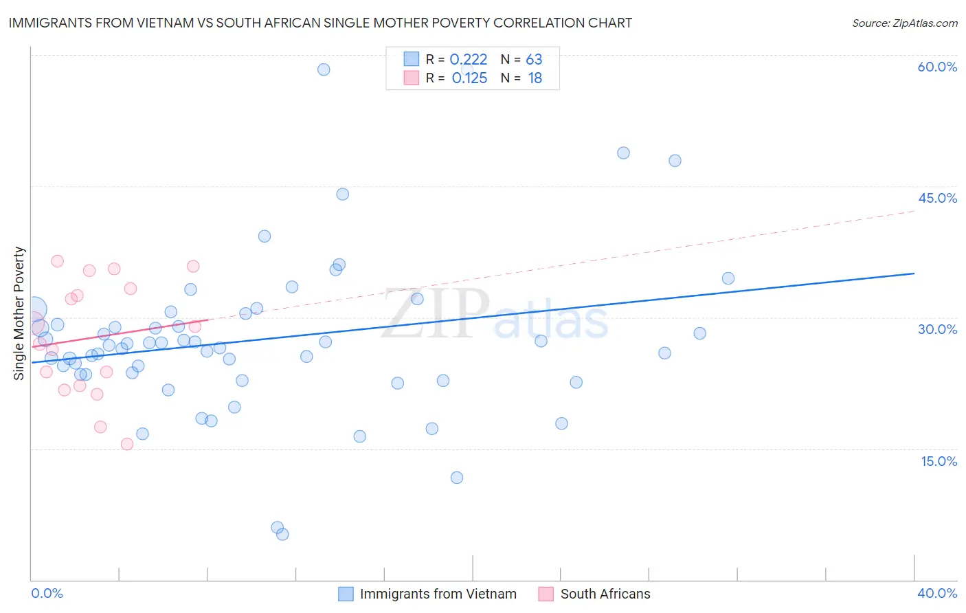 Immigrants from Vietnam vs South African Single Mother Poverty