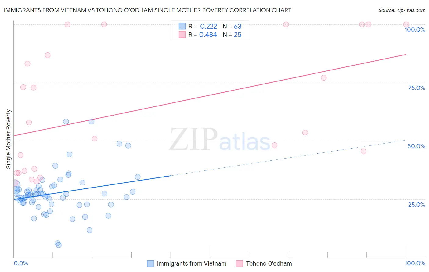 Immigrants from Vietnam vs Tohono O'odham Single Mother Poverty