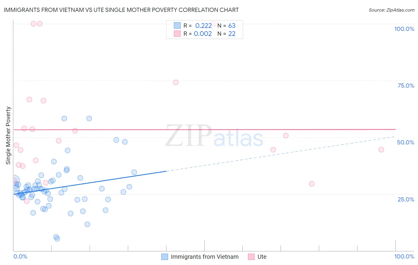 Immigrants from Vietnam vs Ute Single Mother Poverty