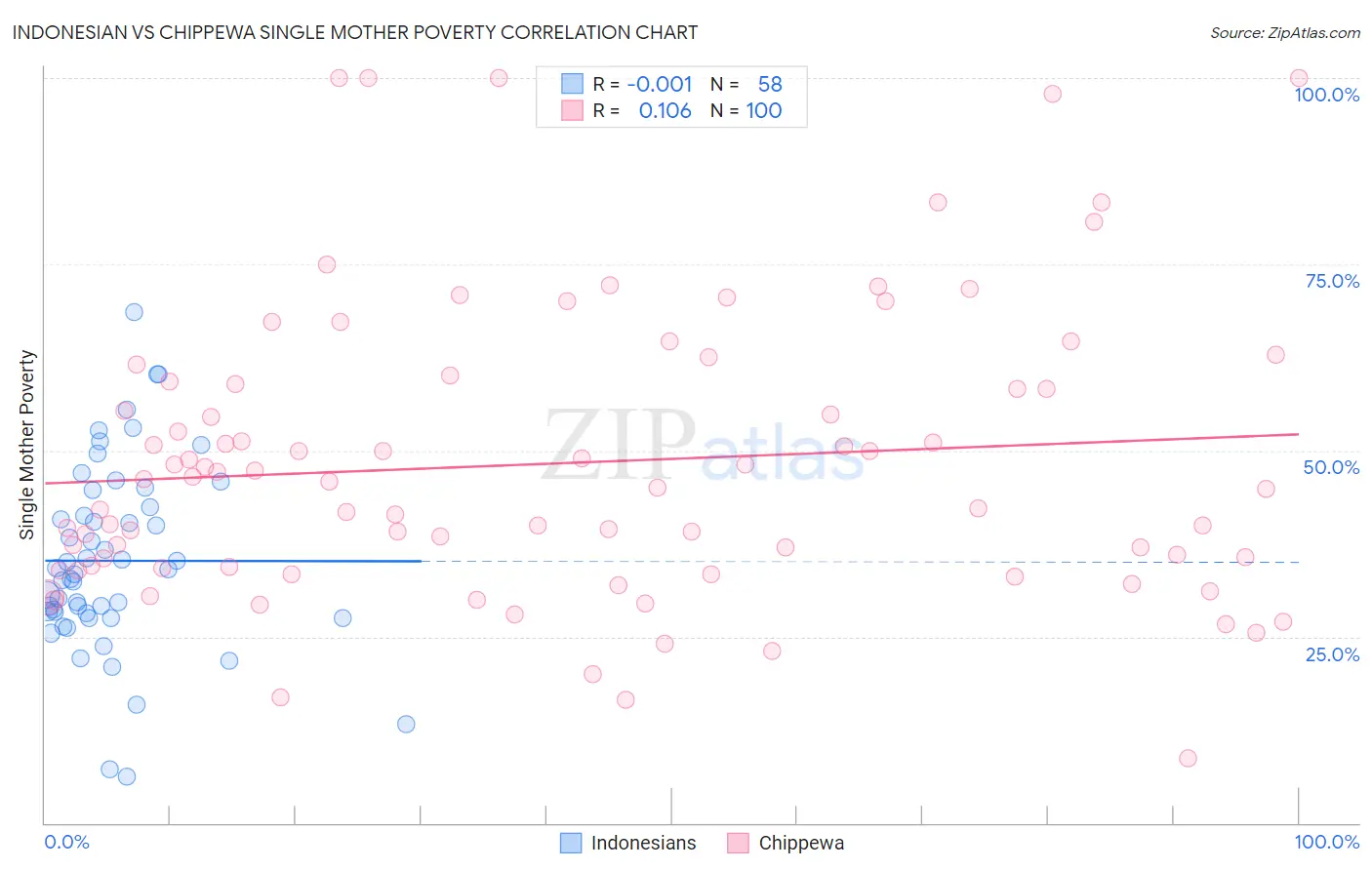 Indonesian vs Chippewa Single Mother Poverty