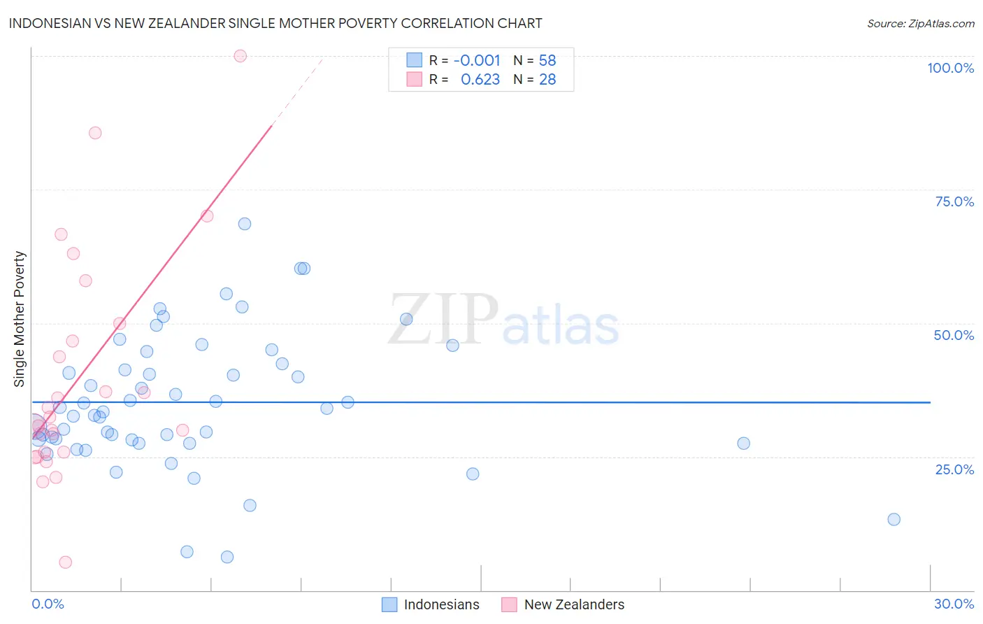 Indonesian vs New Zealander Single Mother Poverty