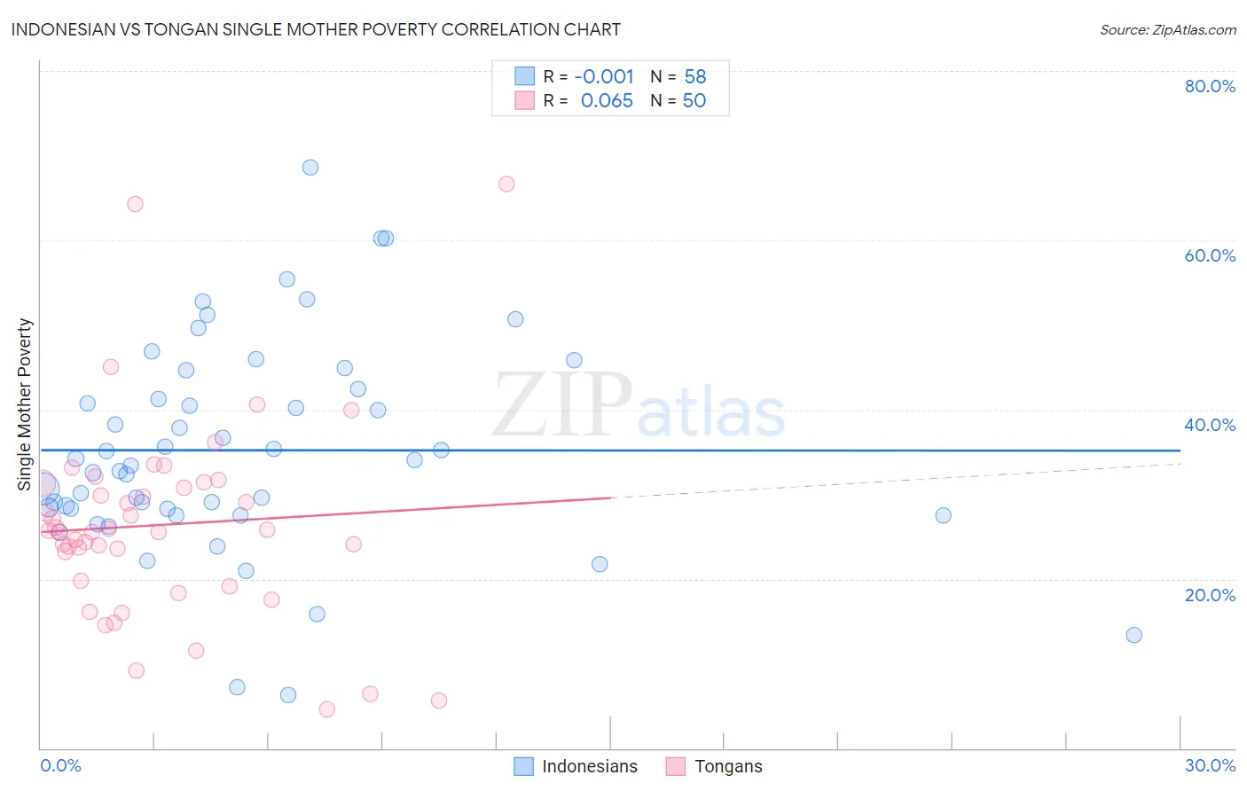 Indonesian vs Tongan Single Mother Poverty