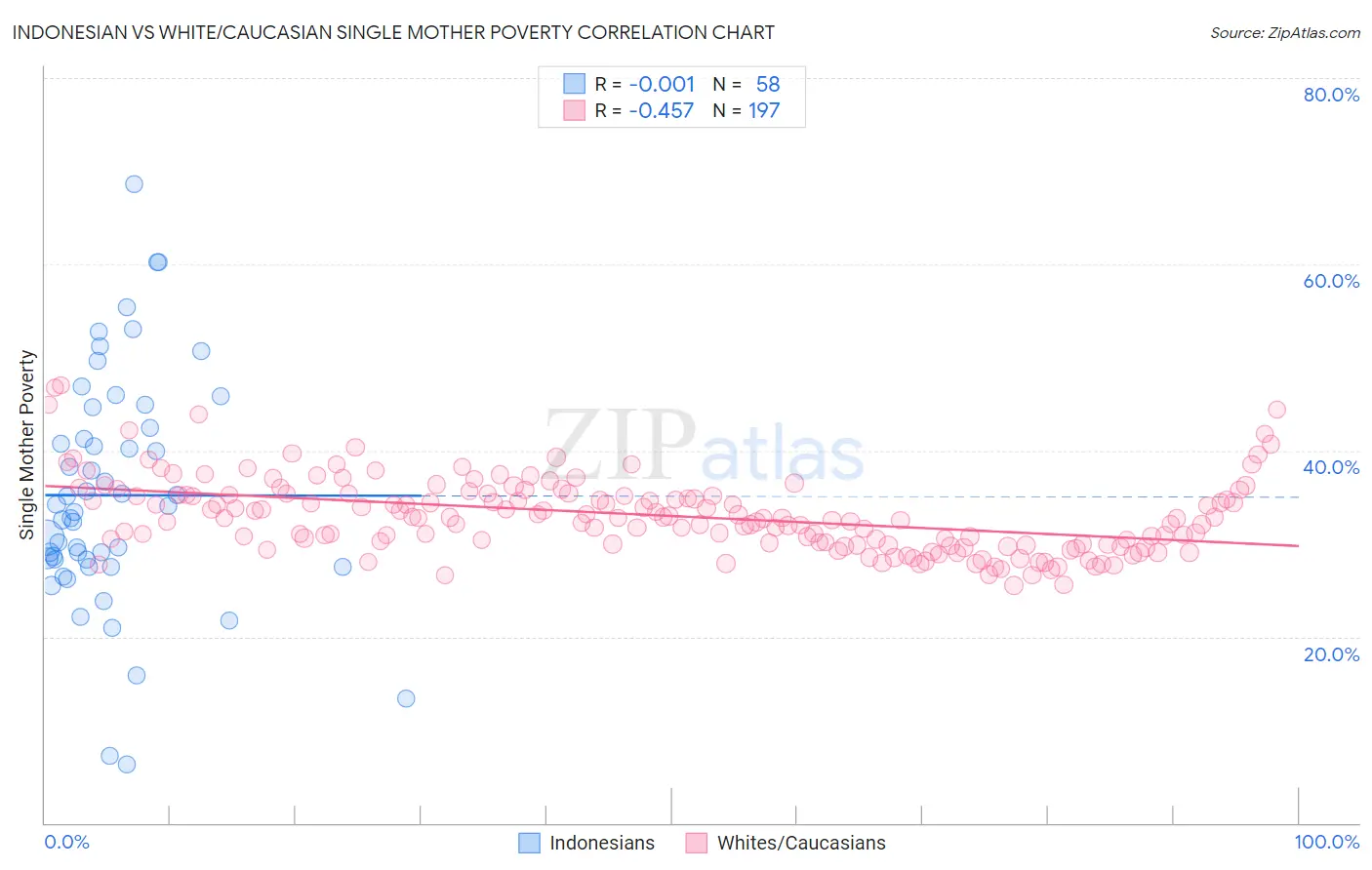 Indonesian vs White/Caucasian Single Mother Poverty