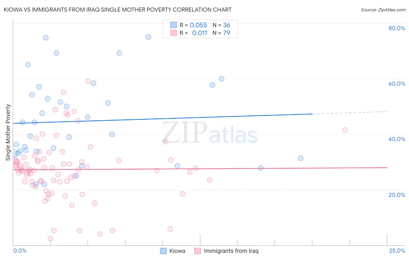 Kiowa vs Immigrants from Iraq Single Mother Poverty