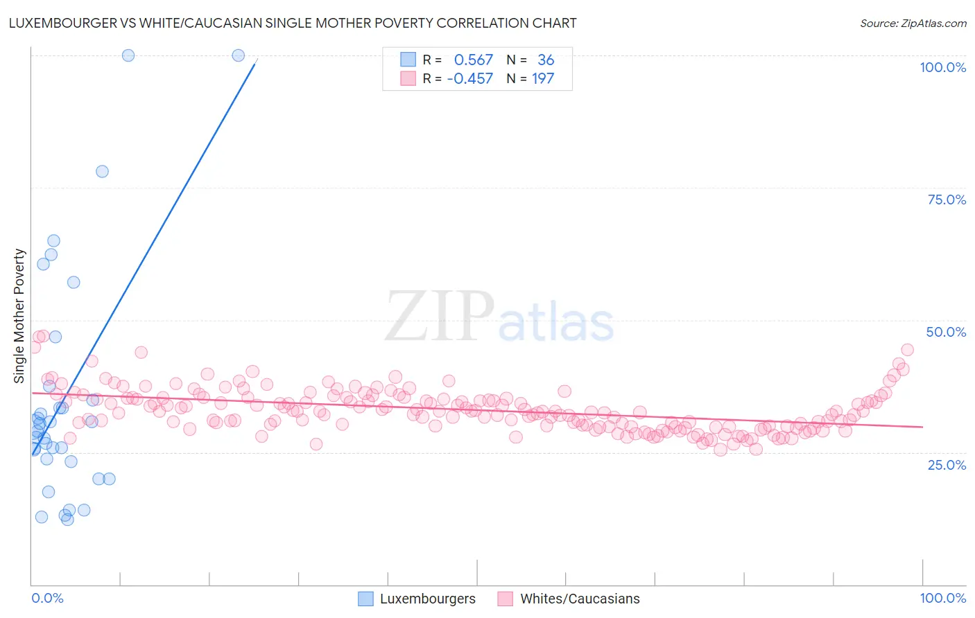 Luxembourger vs White/Caucasian Single Mother Poverty