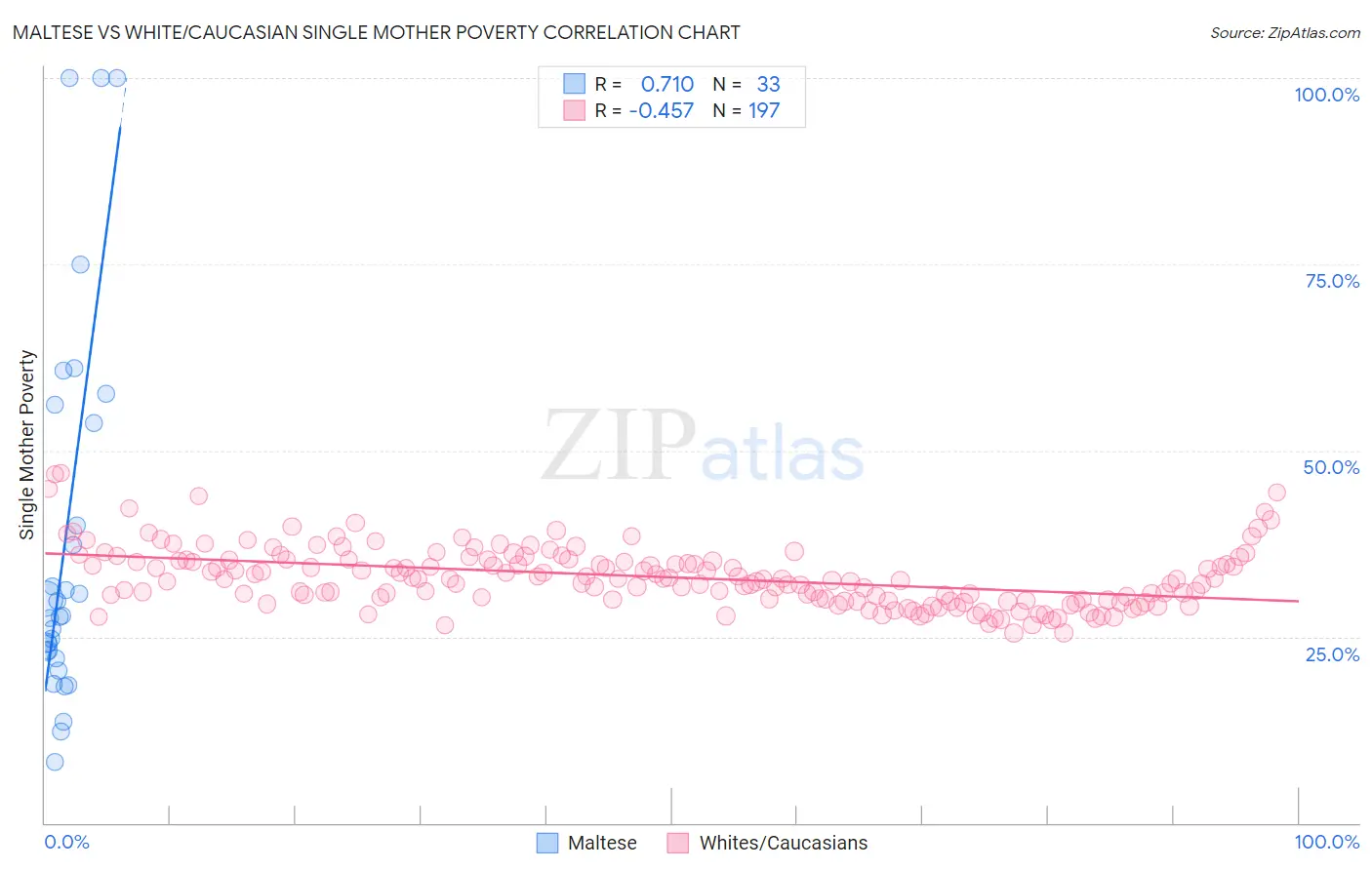 Maltese vs White/Caucasian Single Mother Poverty