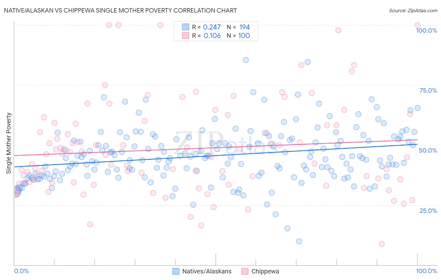 Native/Alaskan vs Chippewa Single Mother Poverty