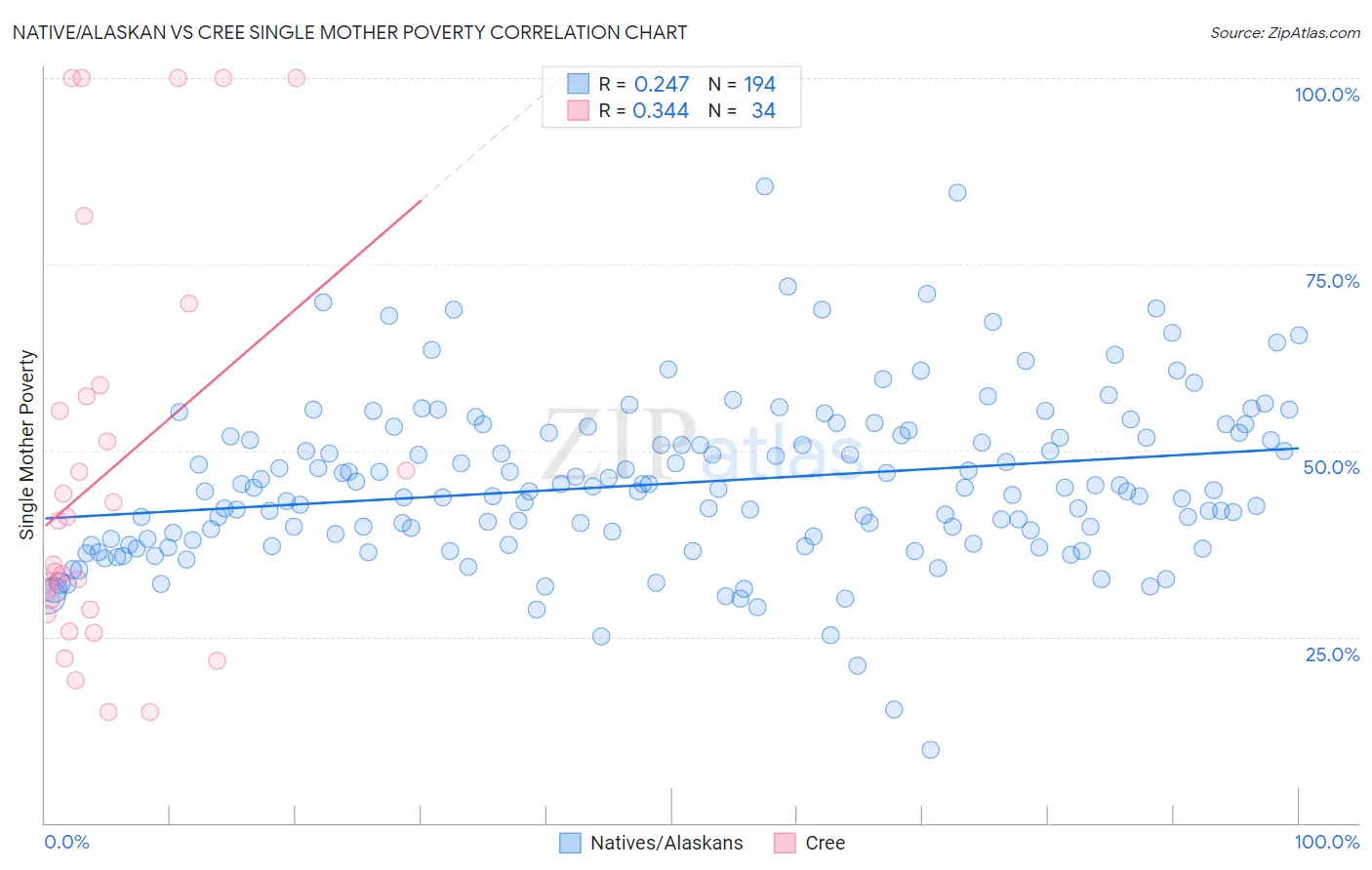 Native/Alaskan vs Cree Single Mother Poverty