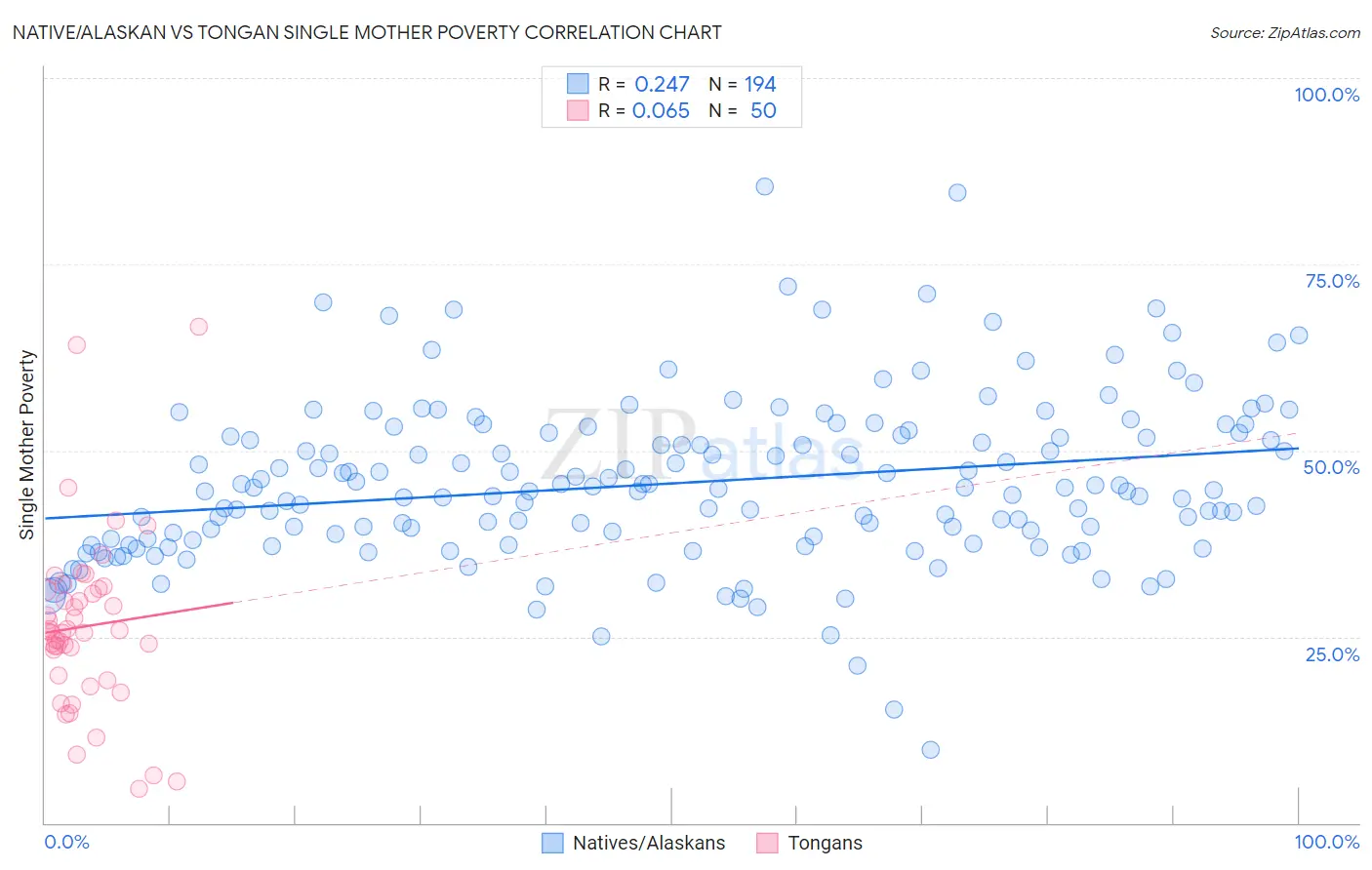 Native/Alaskan vs Tongan Single Mother Poverty