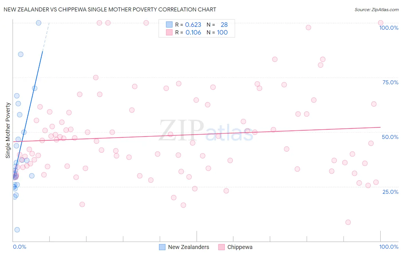 New Zealander vs Chippewa Single Mother Poverty